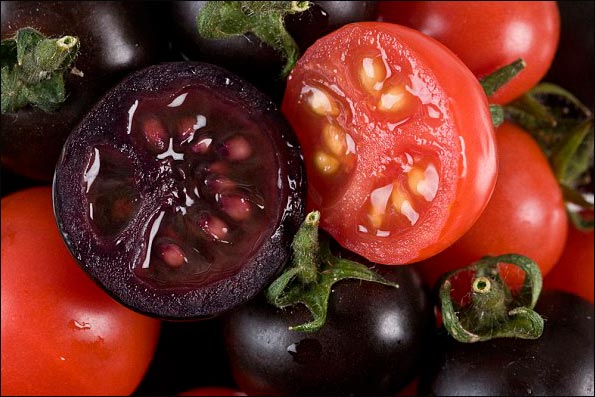 گوجه فرنگی