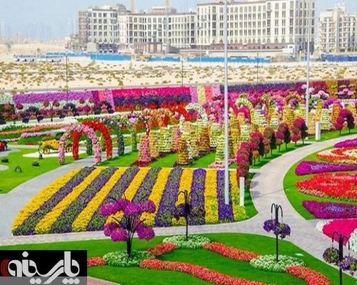 فستیوال گل در دبی با 45 میلیون گل