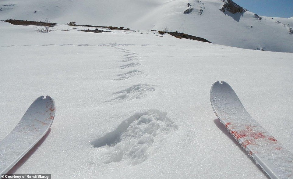 طبیعت و مهمان‌نوازی حیرت‌انگیز ایرانی‌ها از زبان اسکی‌باز زن نروژی +تصاویر