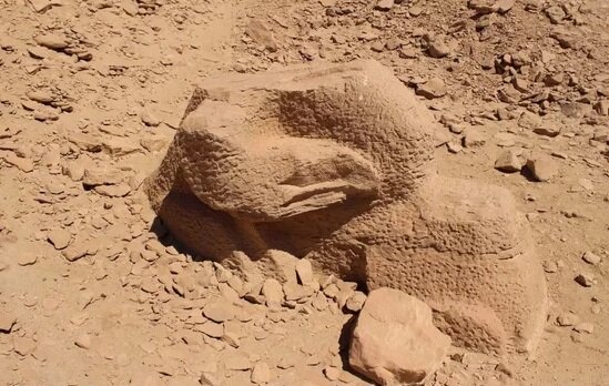 کشف مجسمه ناتمام ابوالهول در مصر