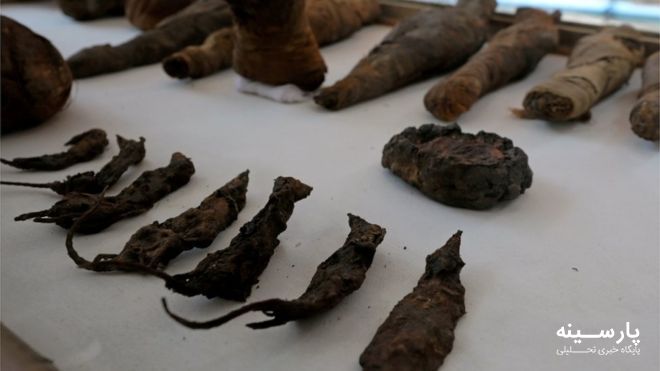 کشف موش‌های مومیایی شده در یک مقبره مصر
