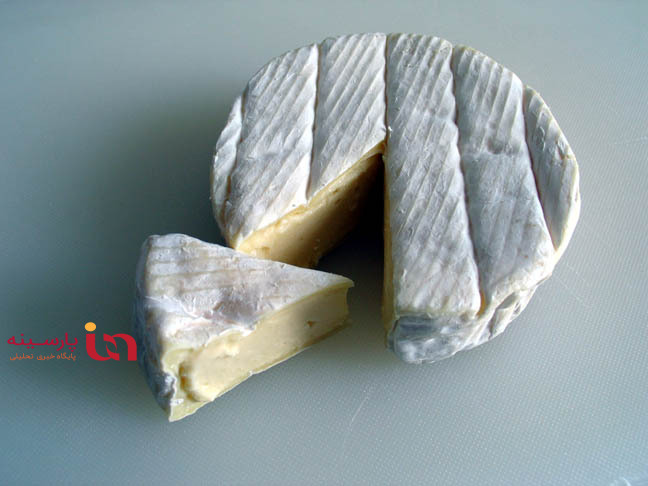 معرفی انواع پنیر‌ها وکاربرد آنها