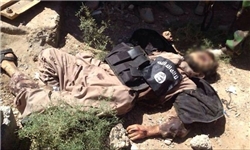 والی داعش در منطقه «القائم» در عراق کشته شد
