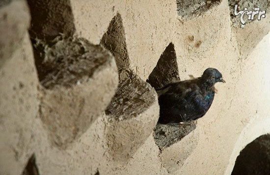 کبوتر خانه‌های دیدنی اصفهان
