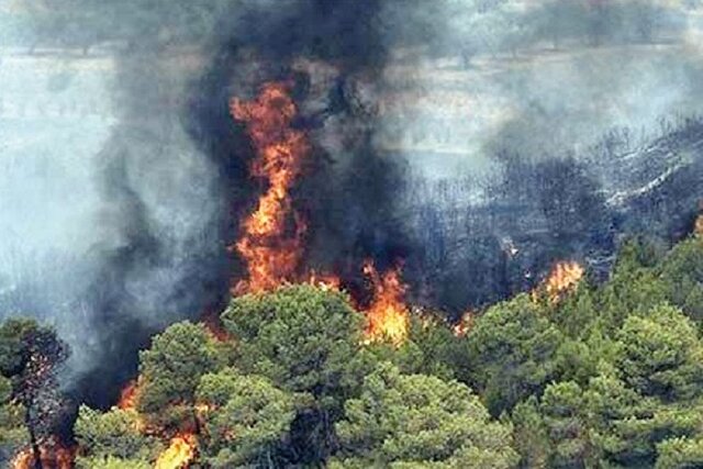 بیش از ۱۳۰ هکتار از جنگل‌ها و مراتع بویراحمد در آتش‌ سوخت