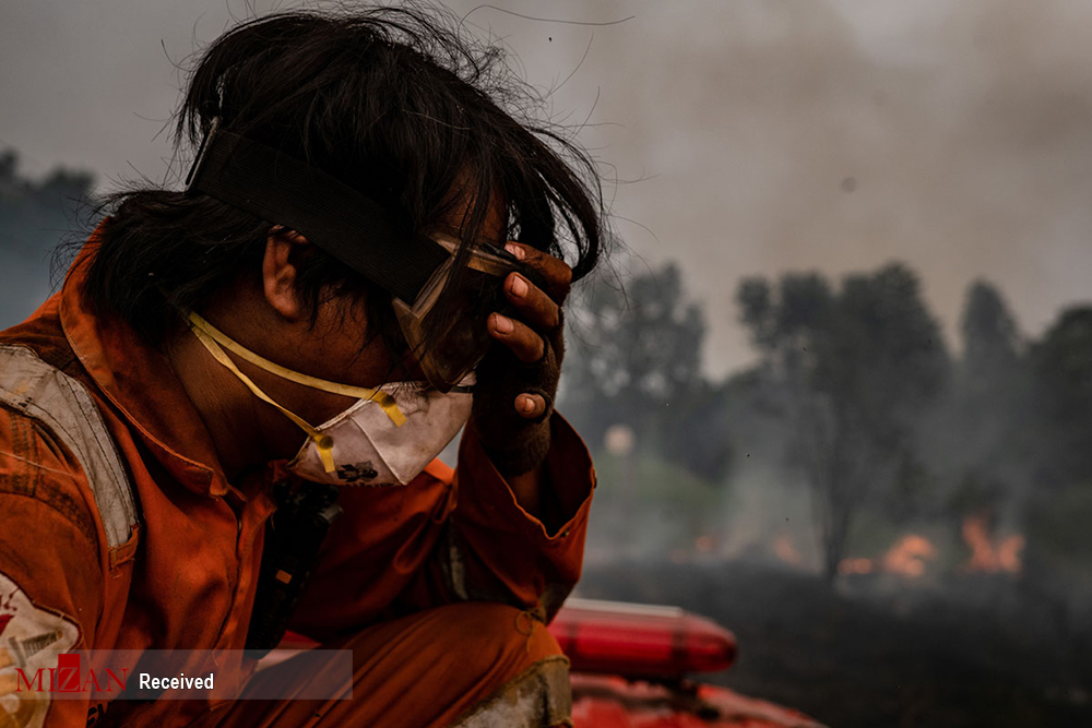 عکس|ادامه آتش سوزی وسیع در جنگل‌های اندونزی