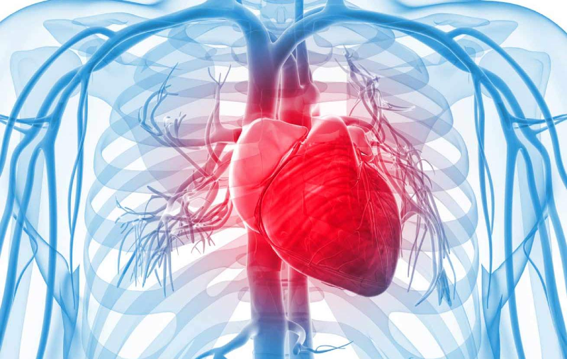 راهکار‌های درمانی و پیشگیری از بیماری تامپوناد قلبی