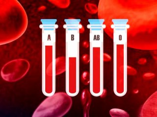 گروه خونی شما درباره شخصیت و سلامت بدنتان چه می‌گوید؟