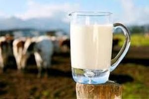 فواید نوشیدن شیر در سردترین فصل سال