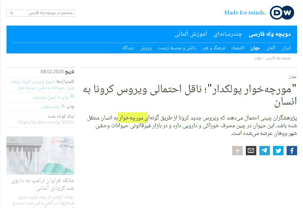 شایعه صادرات خفاش توسط هواپیمایی ماهان