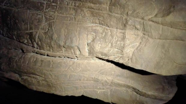 پیچیده تر شدن داستان تکامل انسان با کشف یک قبر قدیمی عجیب در آفریقا