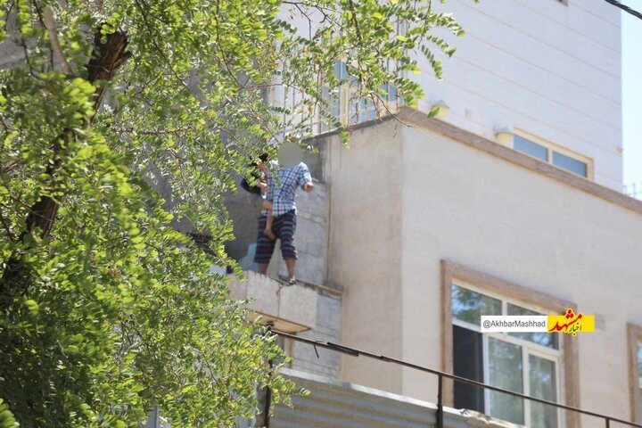 نجات کودک گروگان گرفته شده در مشهد توسط نوپو