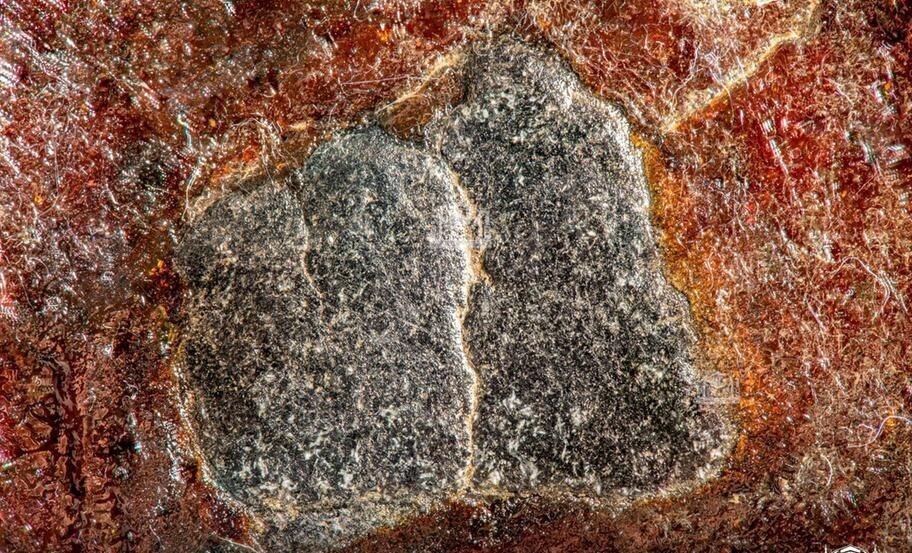 نمایی تازه از 