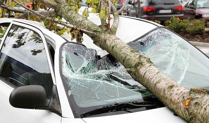 خسارت افتادن درخت یا حوادث طبیعی برای  انواع خودرو و اتومبیل با بیمه بدنه قابل جبران است.