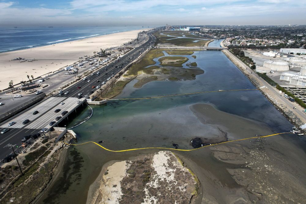 هشدار فاجعه زیستی در سواحل کالیفرنیا