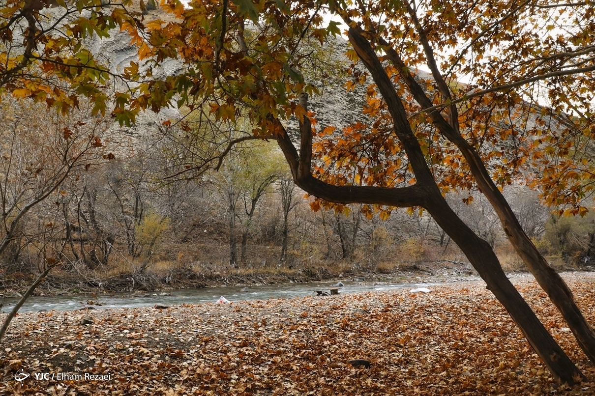 طبیعت زیبای جاده چالوس در پاییز