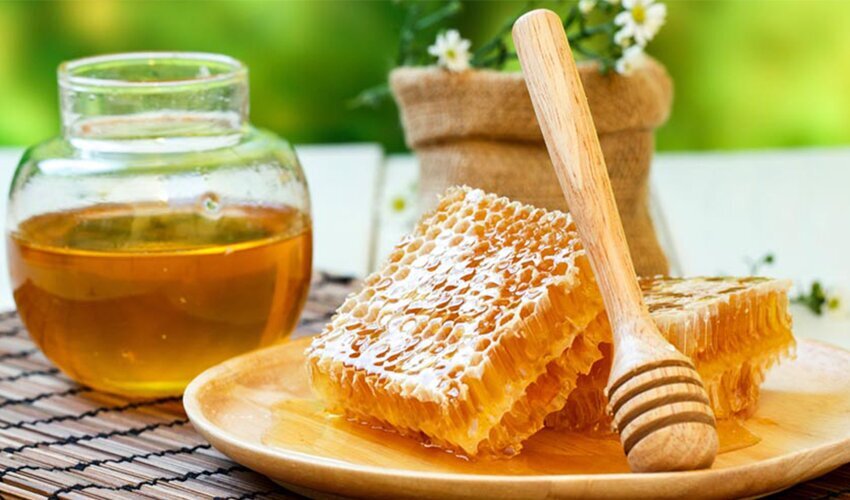 طرز تهیه فرنی | خواص شگفت‌انگیز فرنی عسل که نمی‌دانستید