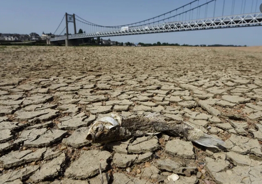دیدنی های روز؛ از بُز درازگوش پاکستانی تا خشکسالی در فرانسه
