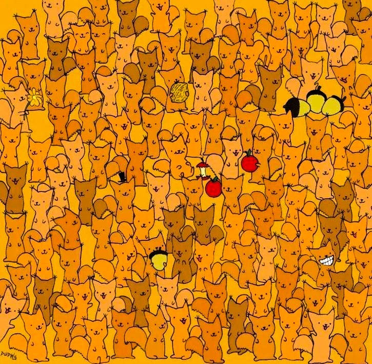 موش پنهان در میان سنجاب