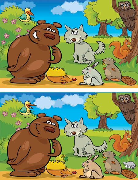 اختلاف تصاویر