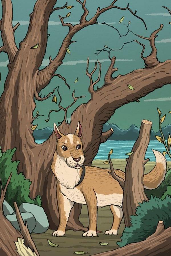 تست پیدا کردن گربه