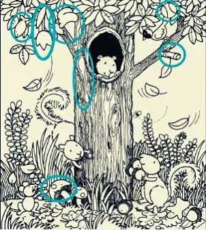 اشیاء مخفی را پیدا کنید! جواب معما برای جنگل