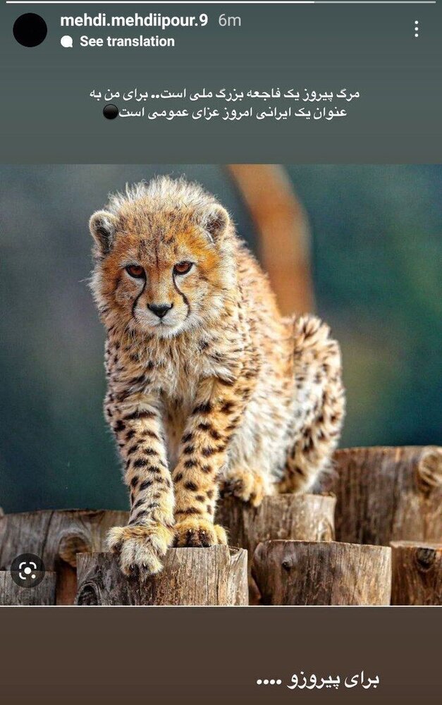 واکنش ستاره استقلال مرگ پیروز