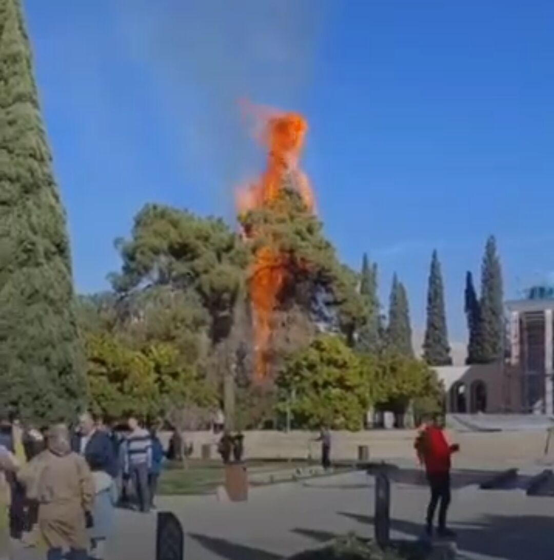 جزئیاتی از آتش سوزی در آرامگاه سعدی+ عکس